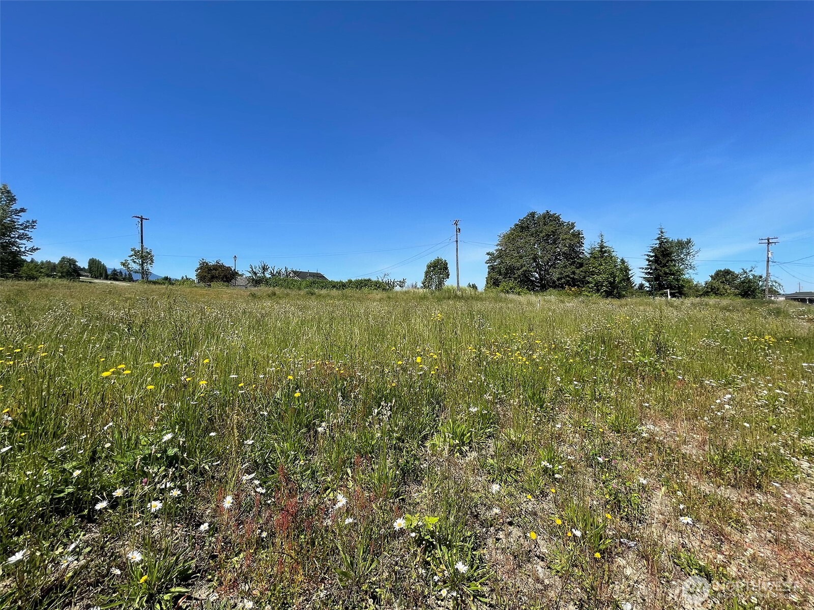 842 Still Road , Sequim, WA 98382