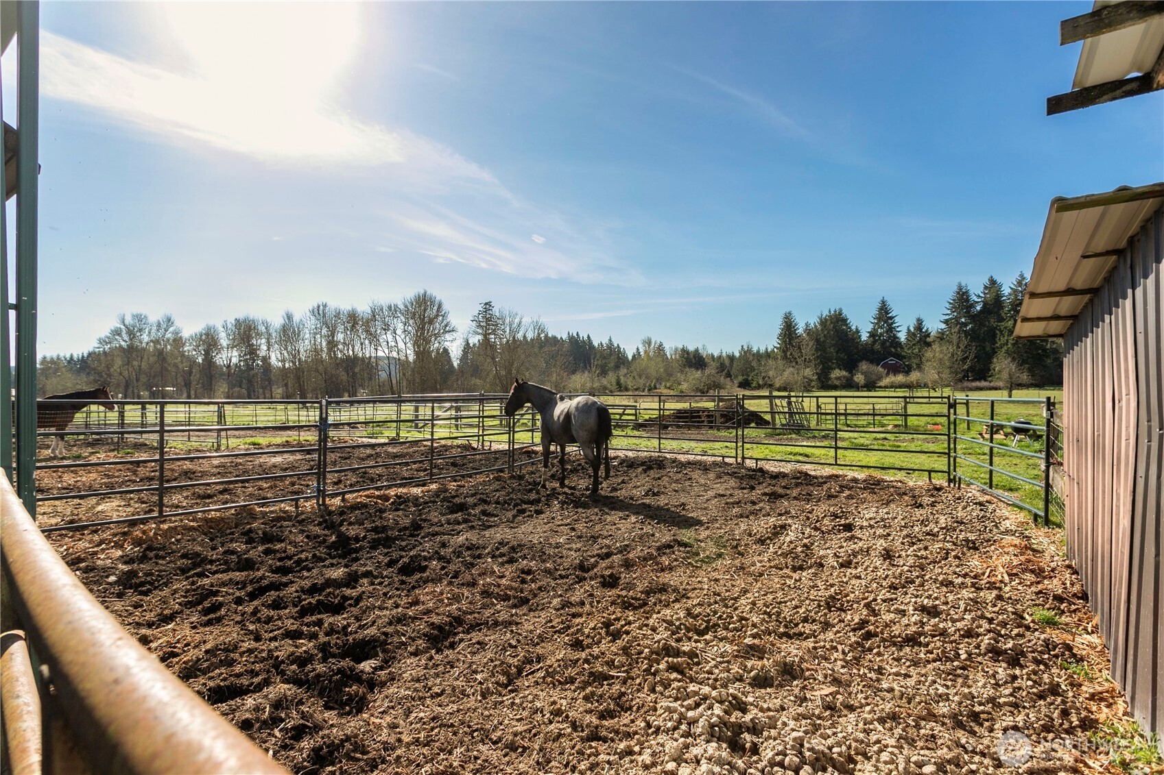 295 Kangas Road , Toledo, WA 98591