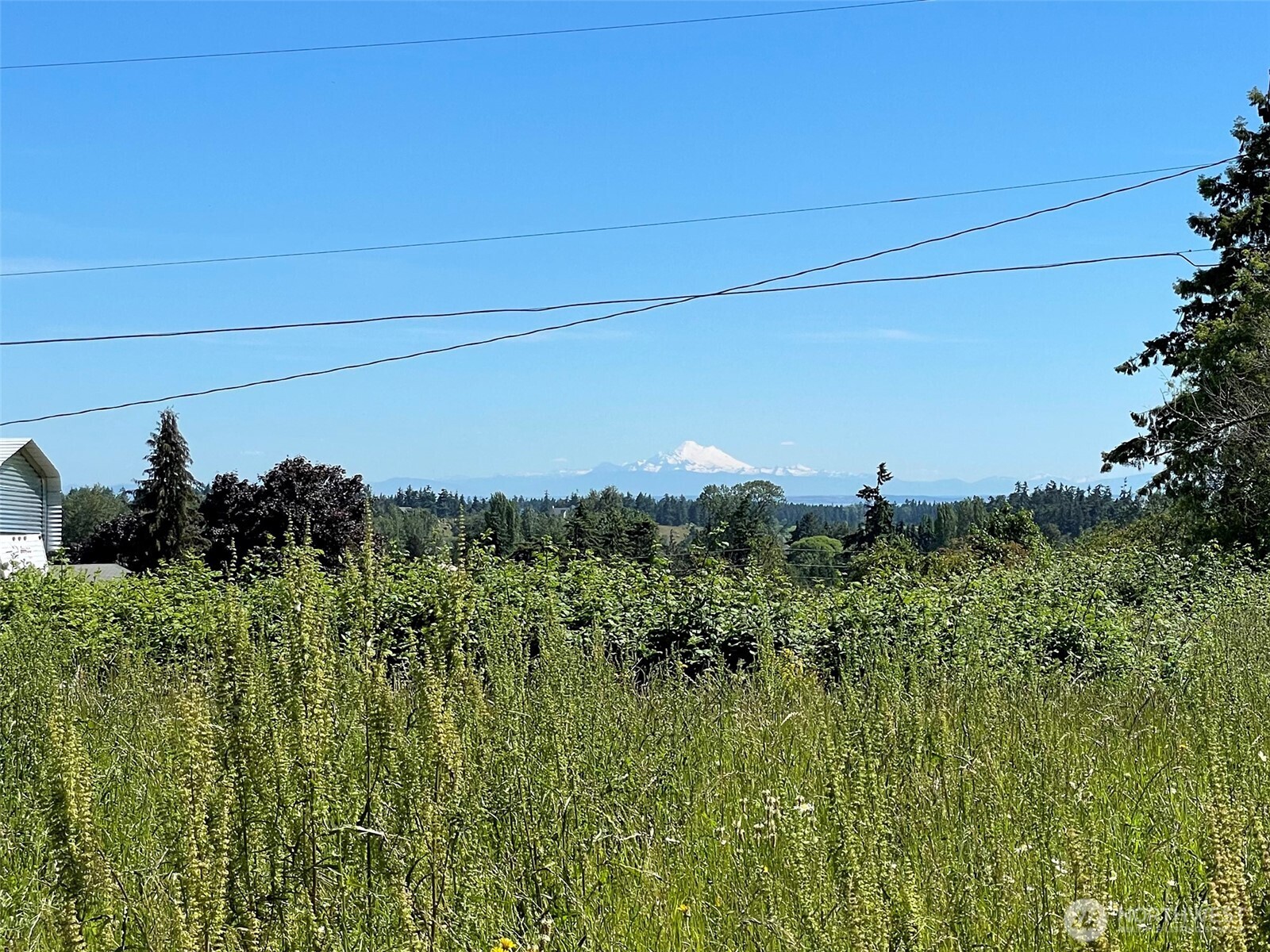 872 Still Road , Sequim, WA 98382