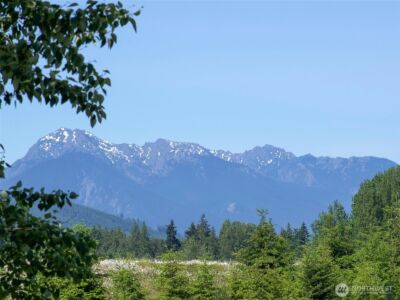 872 Still Road , Sequim, WA 98382 - Photo 3