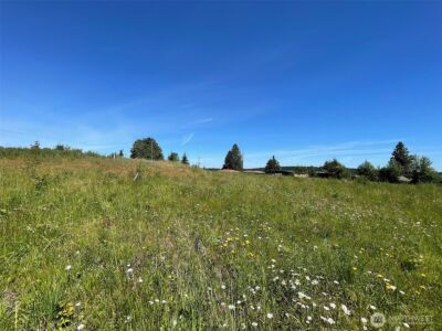872 Still Road , Sequim, WA 98382 - Photo 8