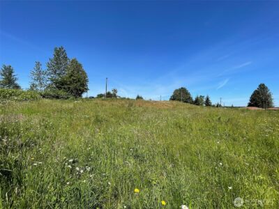 872 Still Road , Sequim, WA 98382 - Photo 10
