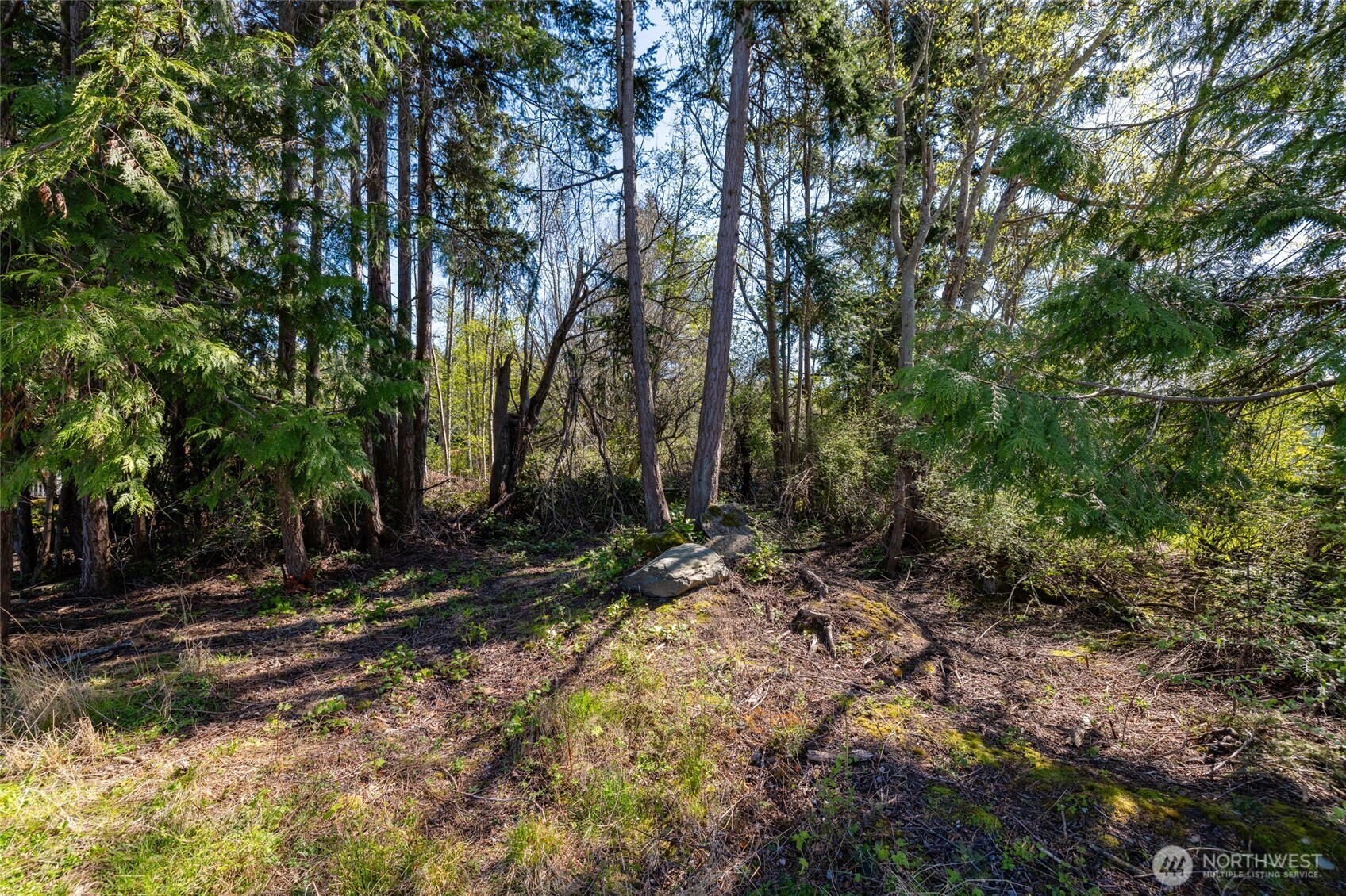 1815 Ohio Avenue , Anacortes, WA 98221