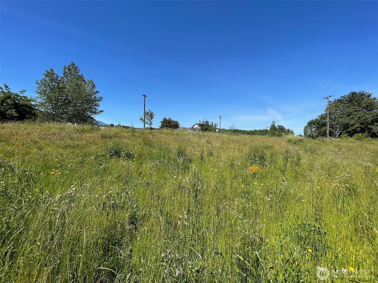 852 Still Road , Sequim, WA 98382