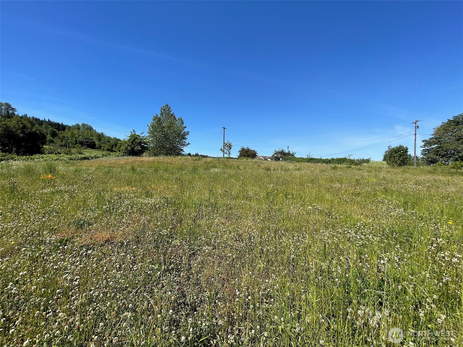 852 Still Road , Sequim, WA 98382