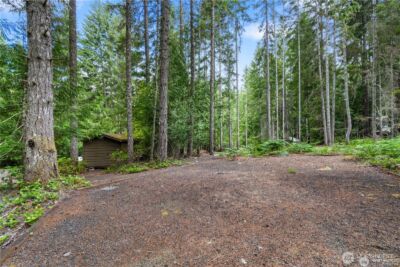 1341 N Potlatch Drive , Hoodsport, WA 98548 - Photo 3