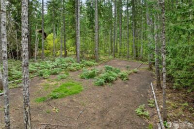 1341 N Potlatch Drive , Hoodsport, WA 98548 - Photo 5