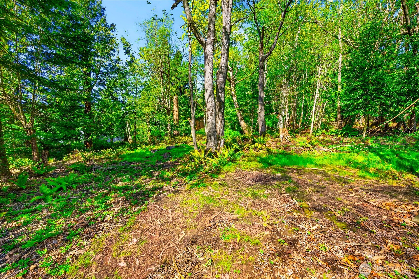 784 Lillooet , La Conner, WA 98257