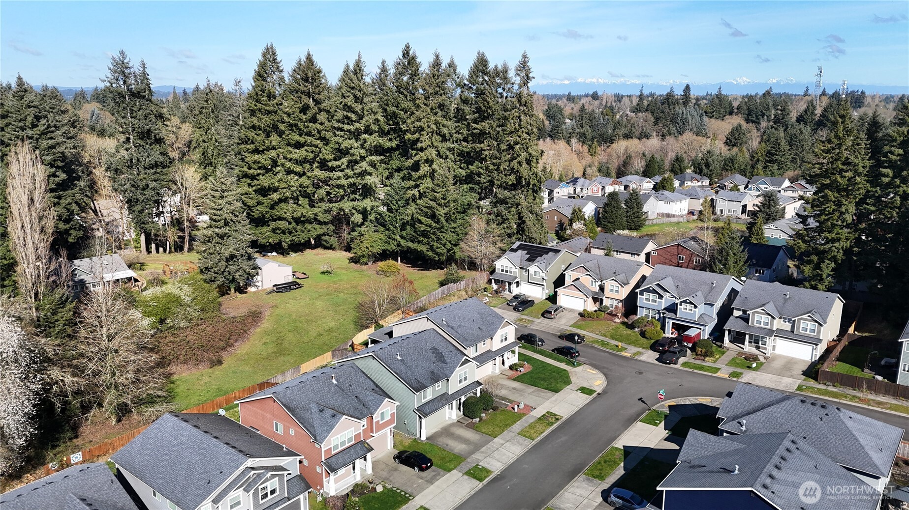1229 Kiely Drive SE, Olympia, WA 98501