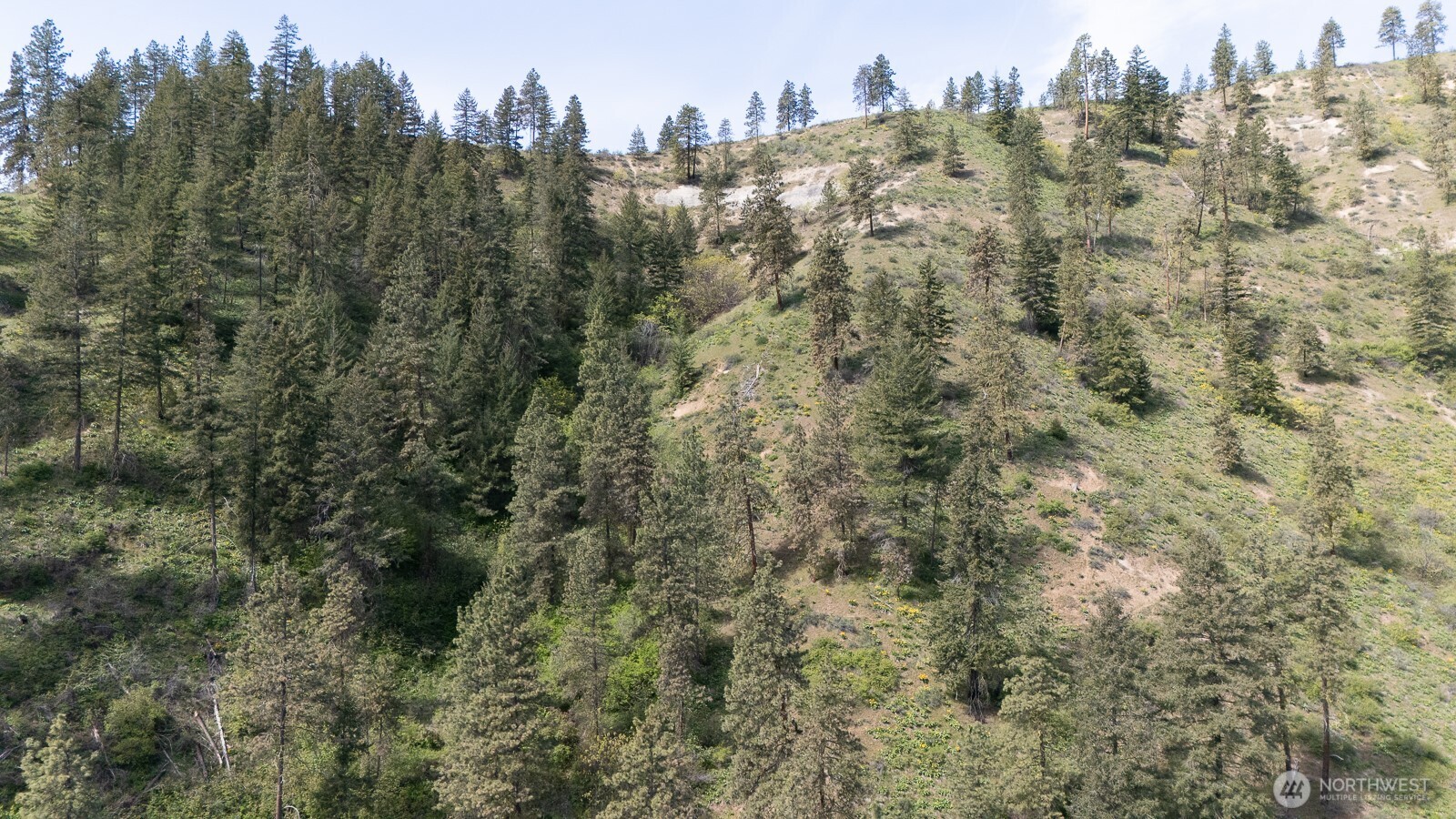 67 Karl Downs Lane , Cashmere, WA 98815