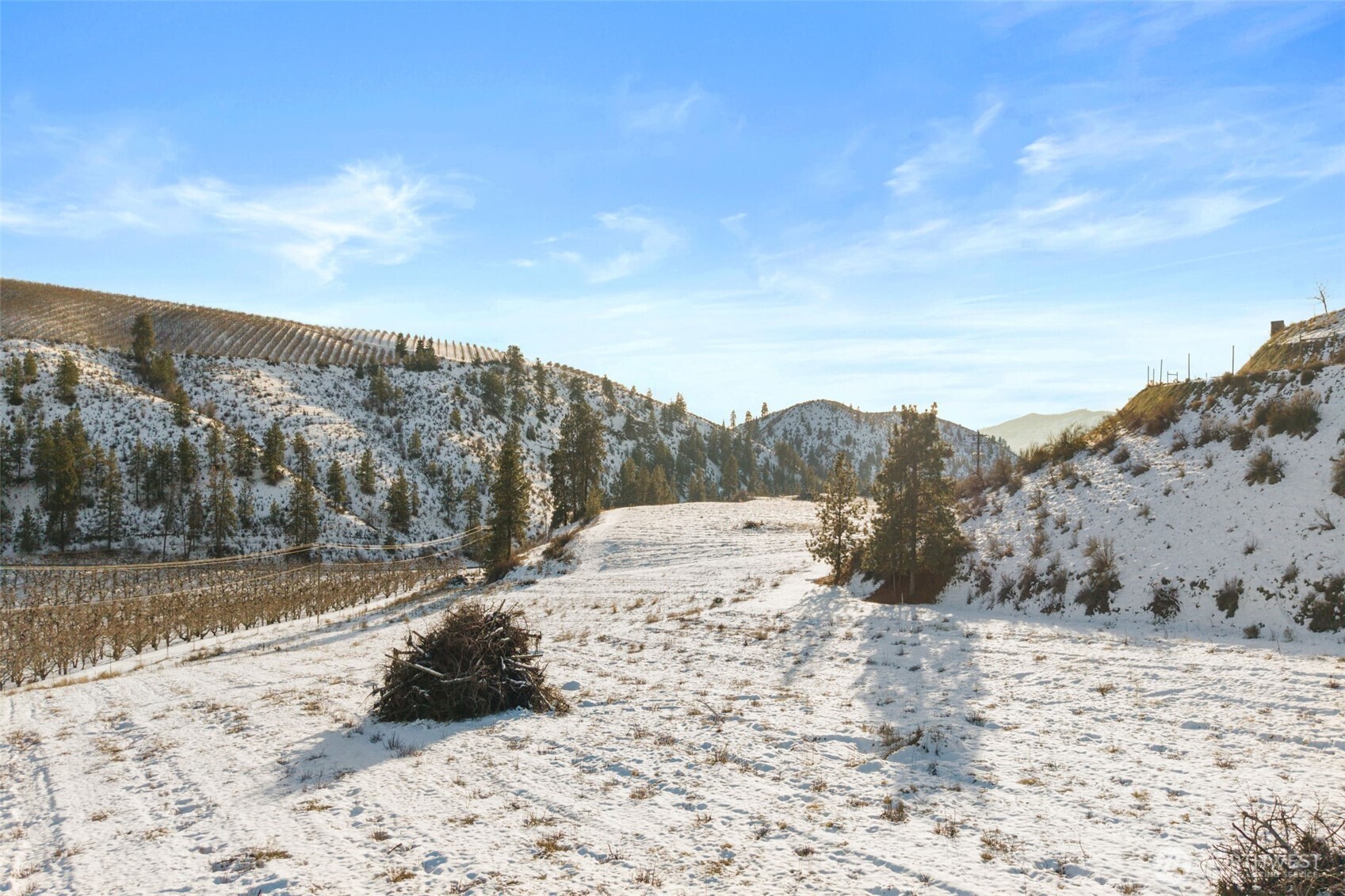 762 Boyd Loop Road , Manson, WA 98831