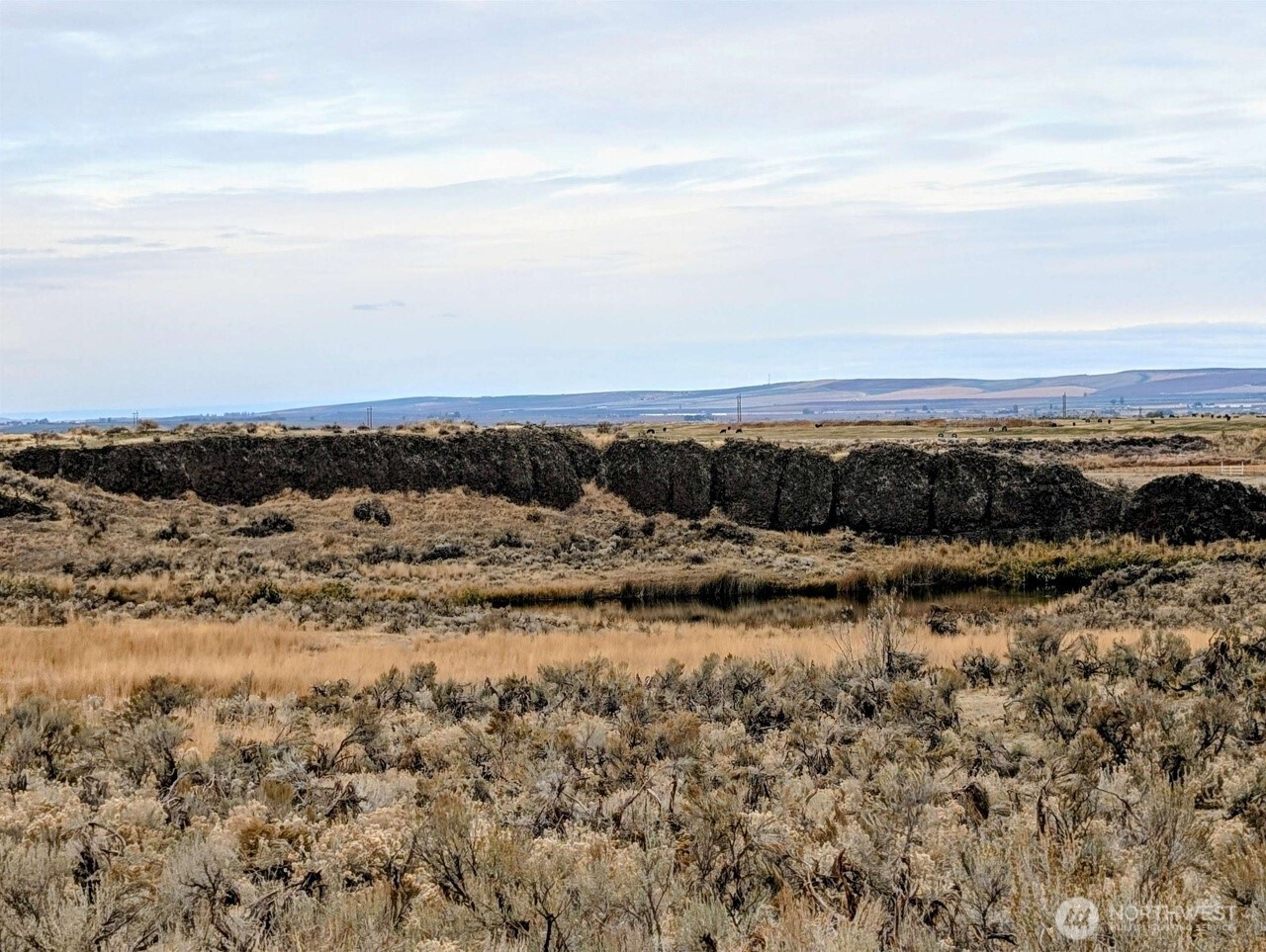 2175 W McManamon Road , Othello, WA 99344
