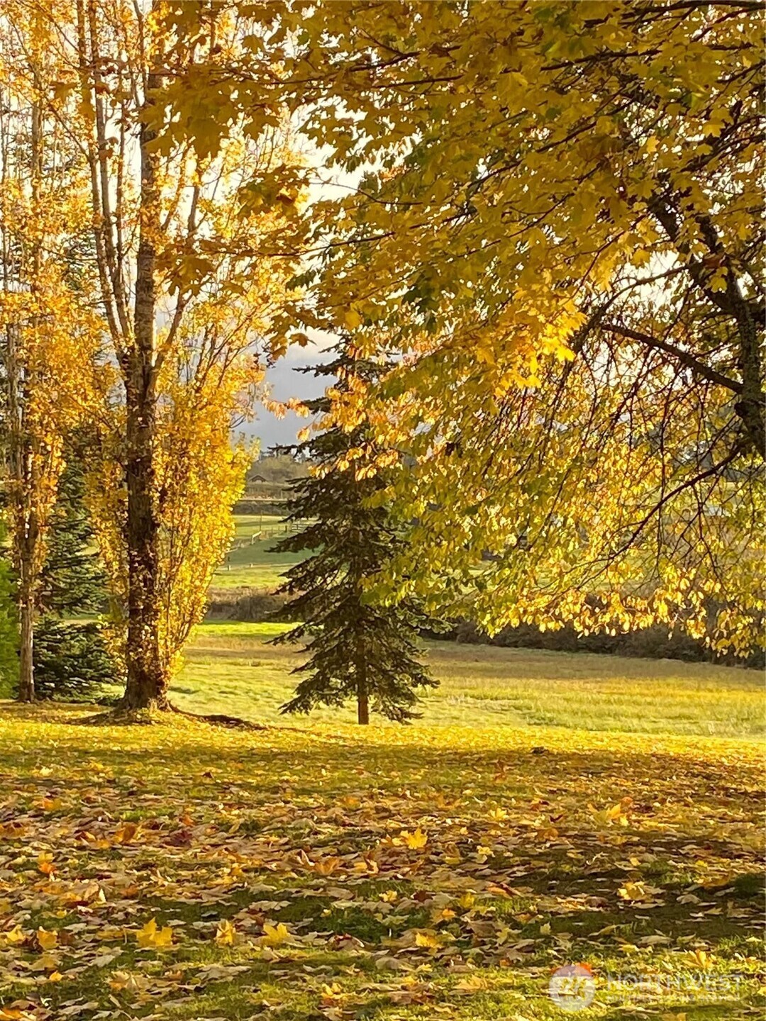 37695 Hansville Road NE, Hansville, WA 98340