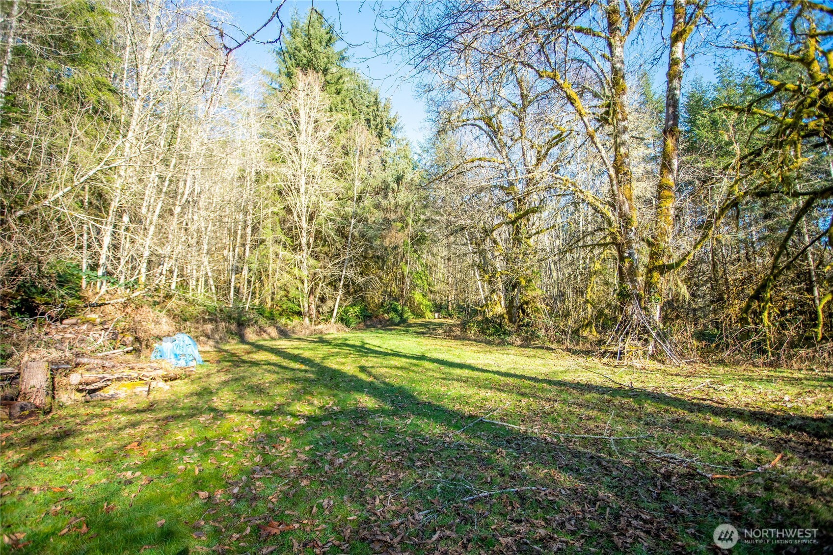 371 Pigeon Springs Road , Onalaska, WA 98570