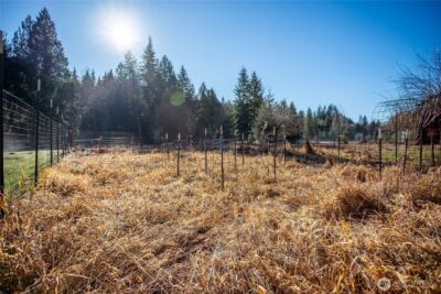 371 Pigeon Springs Road , Onalaska, WA 98570 - Photo 34
