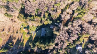 371 Pigeon Springs Road , Onalaska, WA 98570 - Photo 37