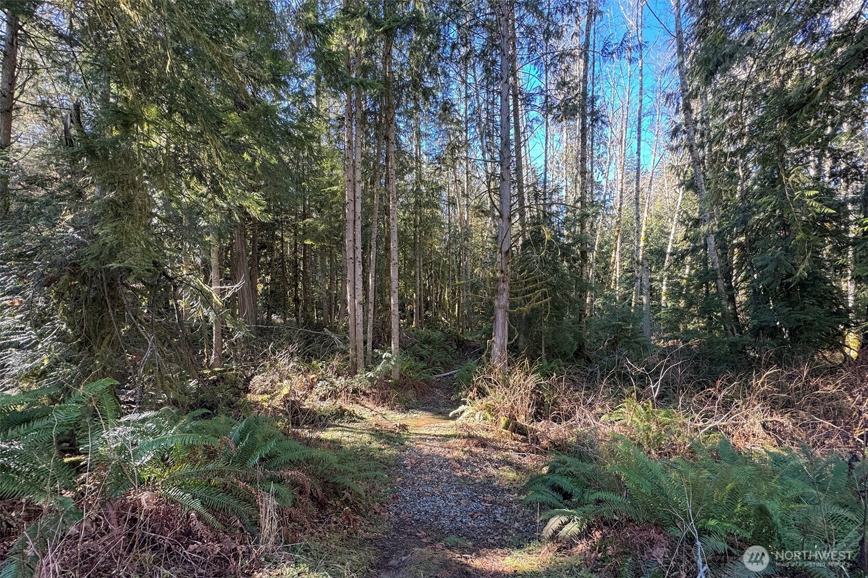 242 Watershed Road , Port Angeles, WA 98362