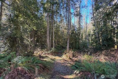 242 Watershed Road , Port Angeles, WA 98362 - Photo 34