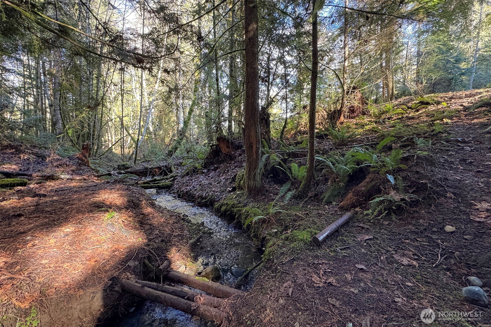 242 Watershed Road , Port Angeles, WA 98362