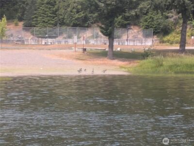 45016 Kachess Trail #3C86, Concrete, WA 98237 - Photo 12