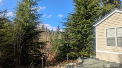 45016 Kachess Trail #3C86, Concrete, WA 98237 - Photo 4