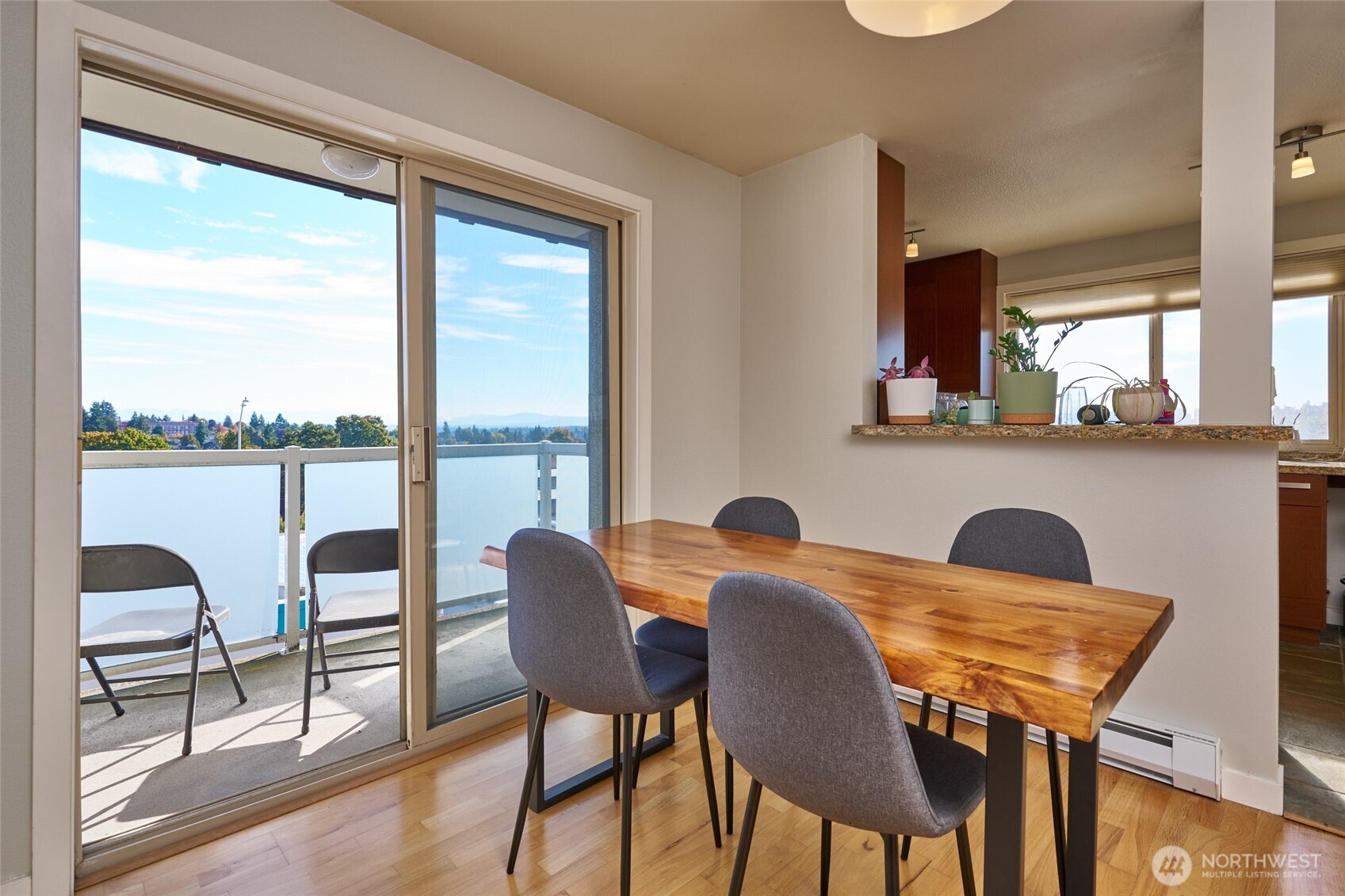 812 N 42nd Street #301, Seattle, WA 98103