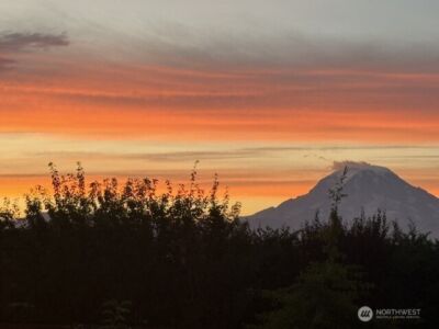13808 108th Street Ct E, Puyallup, WA 98374 - Photo 28