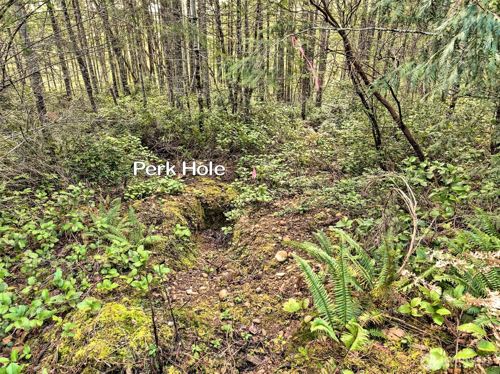 131 E Skyview Drive , Union, WA 98592