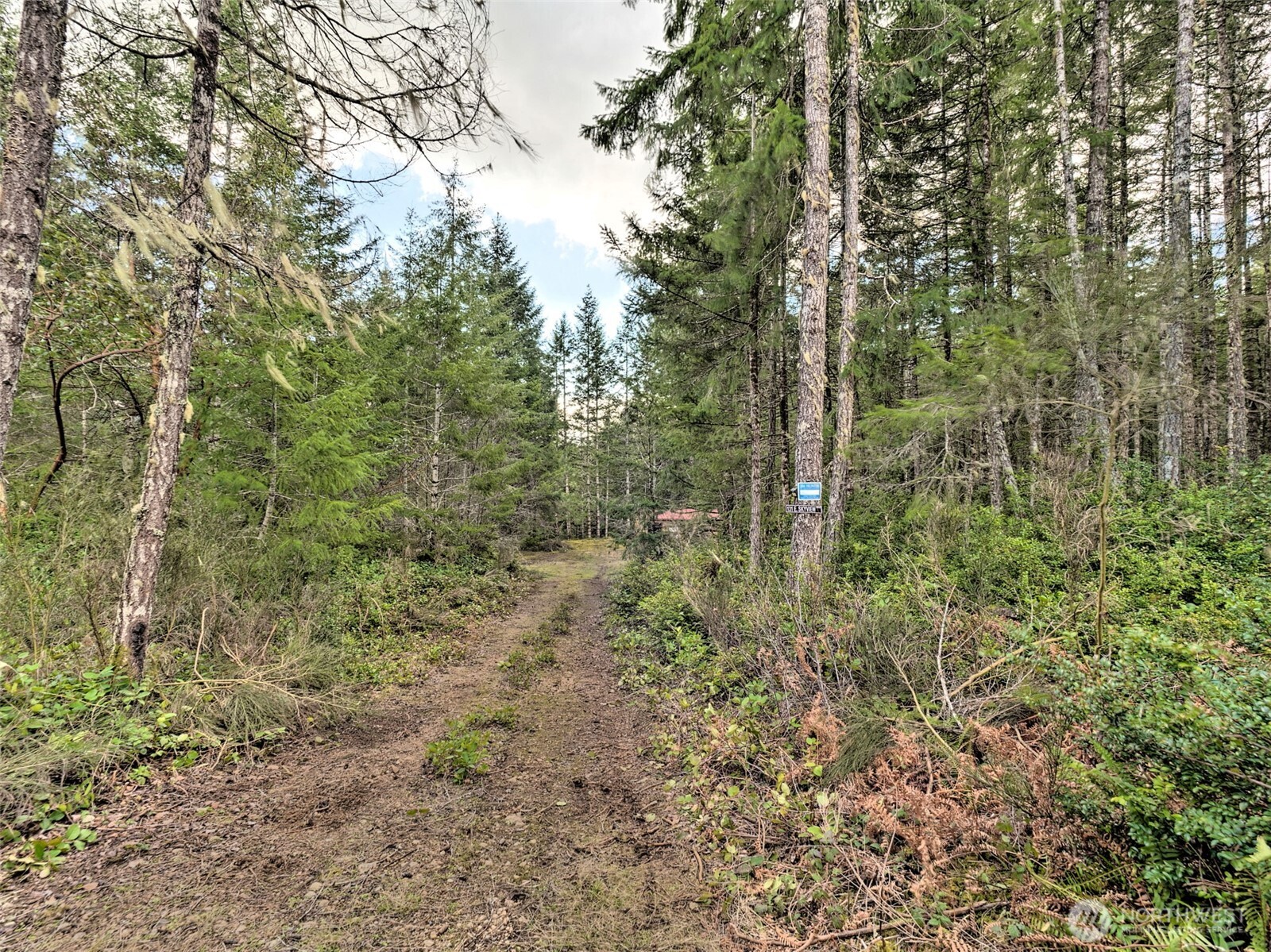 131 E Skyview Drive , Union, WA 98592