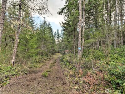 131 E Skyview Drive , Union, WA 98592 - Photo 3