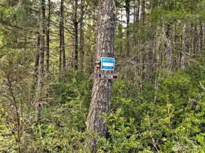 131 E Skyview Drive , Union, WA 98592 - Photo 4