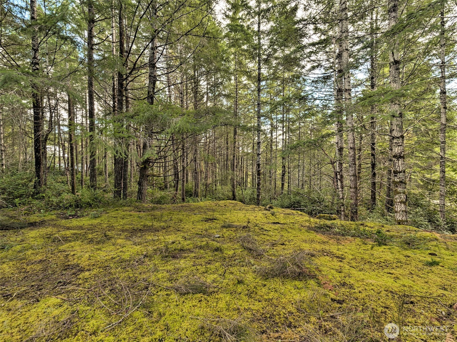 131 E Skyview Drive , Union, WA 98592