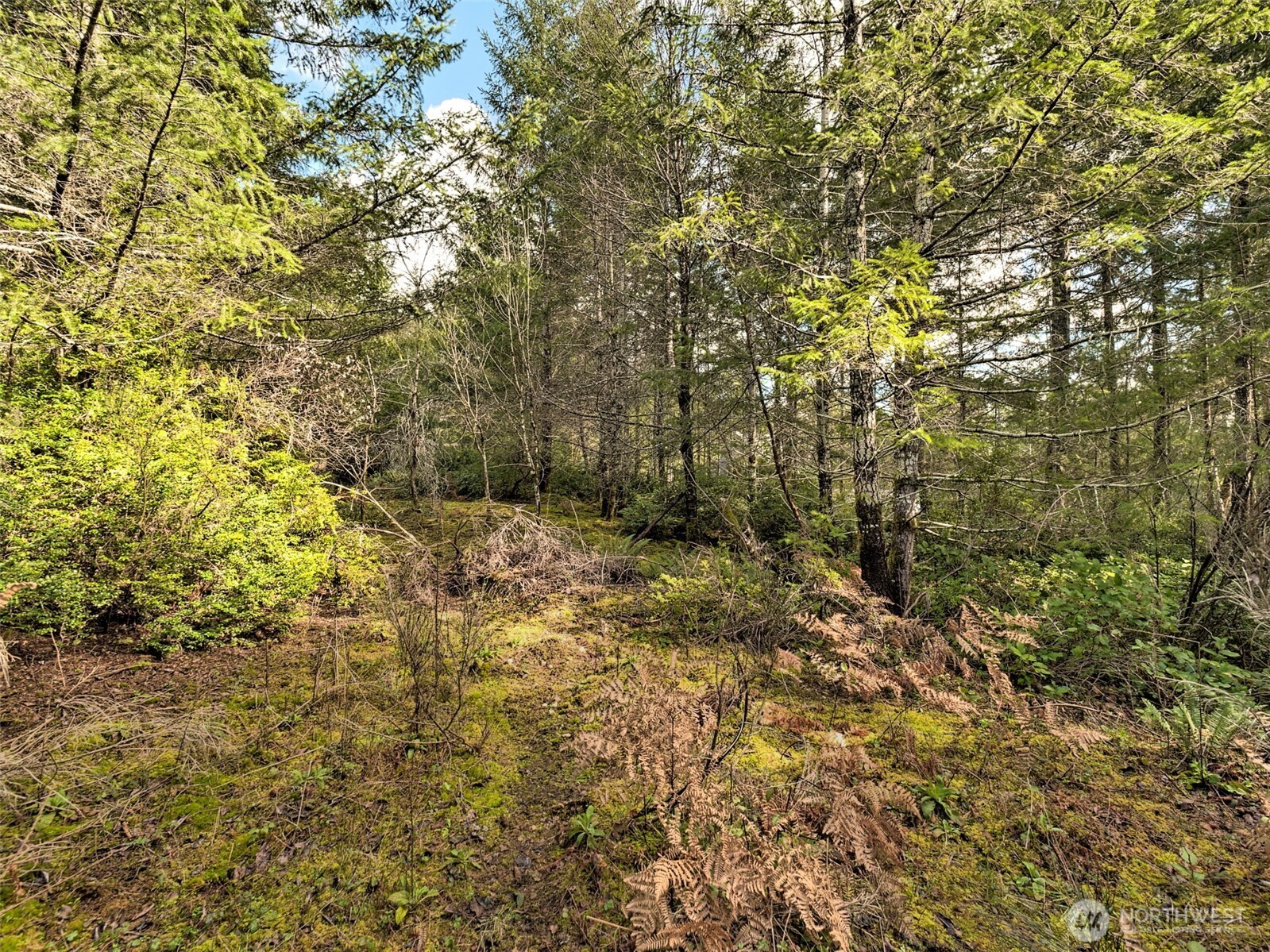 131 E Skyview Drive , Union, WA 98592