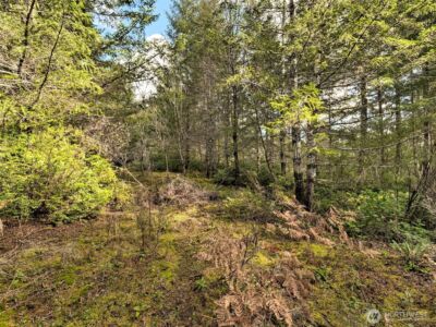 131 E Skyview Drive , Union, WA 98592 - Photo 10