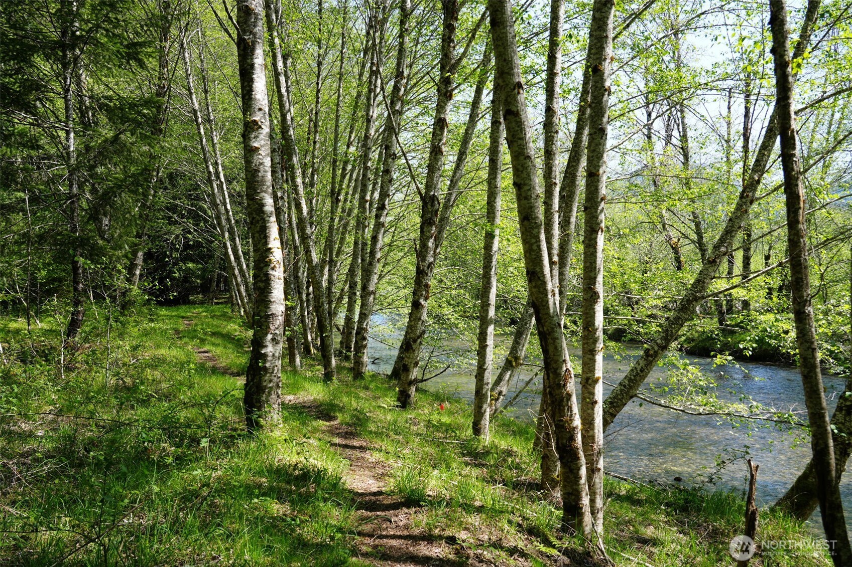 131 Campfire Lane , Packwood, WA 98361