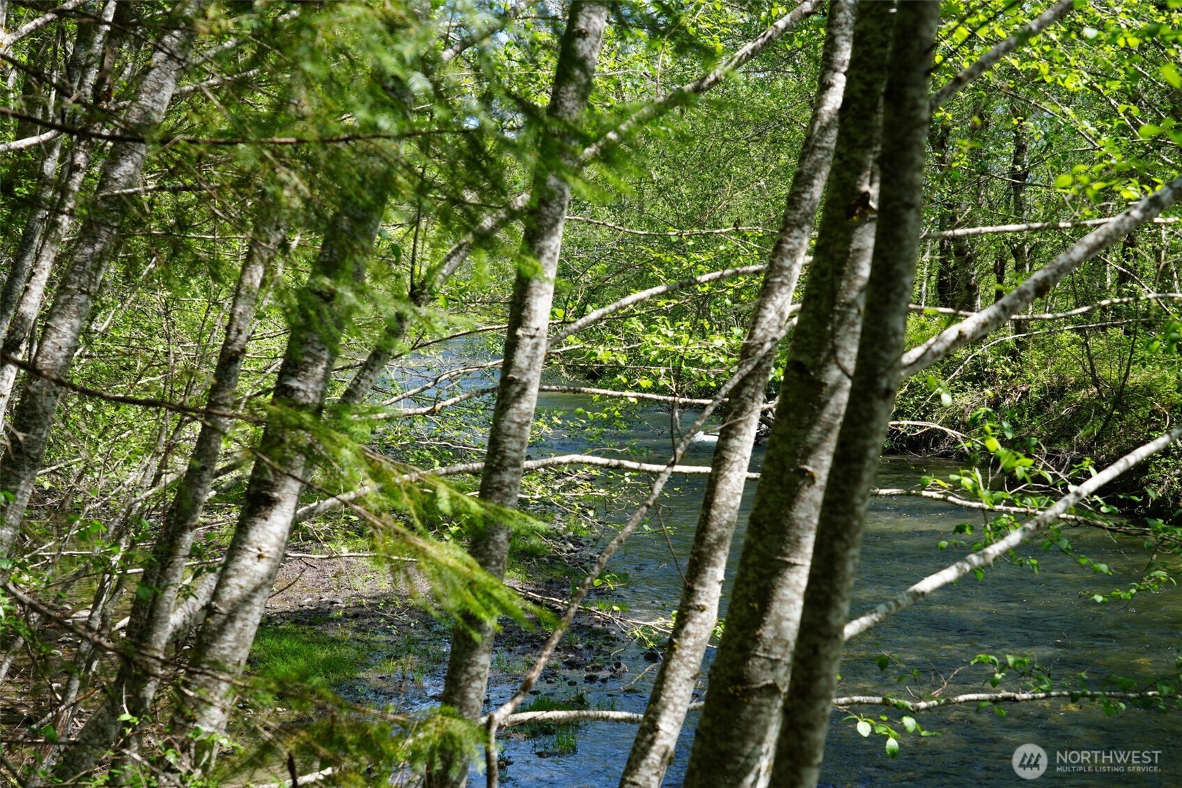 131 Campfire Lane , Packwood, WA 98361