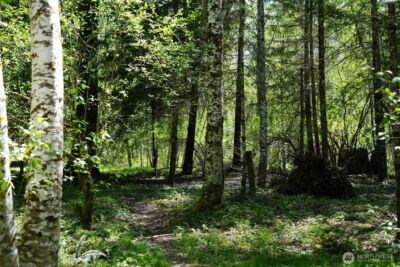 131 Campfire Lane , Packwood, WA 98361 - Photo 16