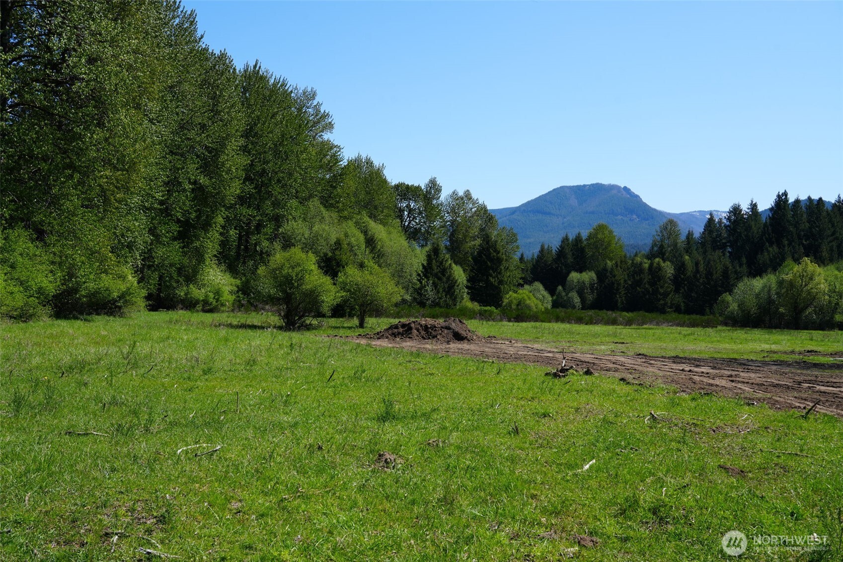 131 Campfire Lane , Packwood, WA 98361