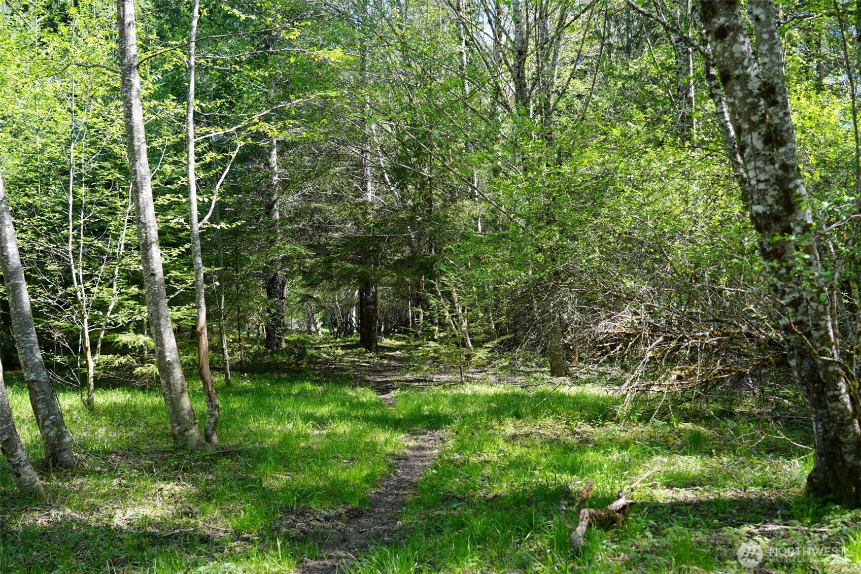 131 Campfire Lane , Packwood, WA 98361