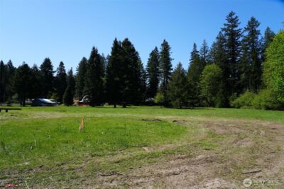 131 Campfire Lane , Packwood, WA 98361 - Photo 4