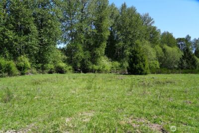 131 Campfire Lane , Packwood, WA 98361 - Photo 5