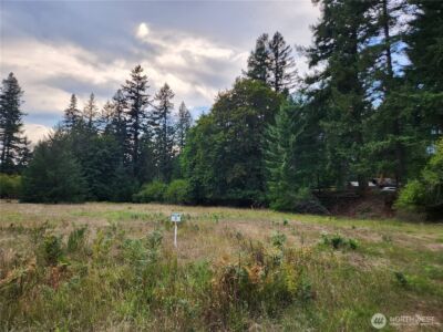 131 Campfire Lane , Packwood, WA 98361 - Photo 7