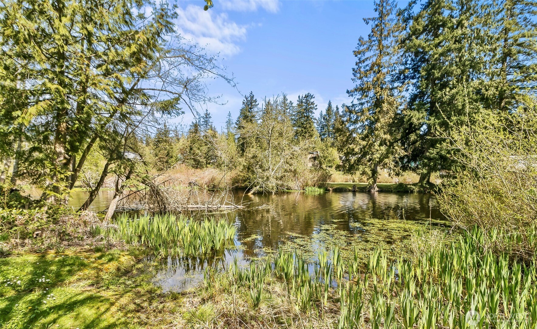 1579 Silver Fir Drive , Camano Island, WA 98282