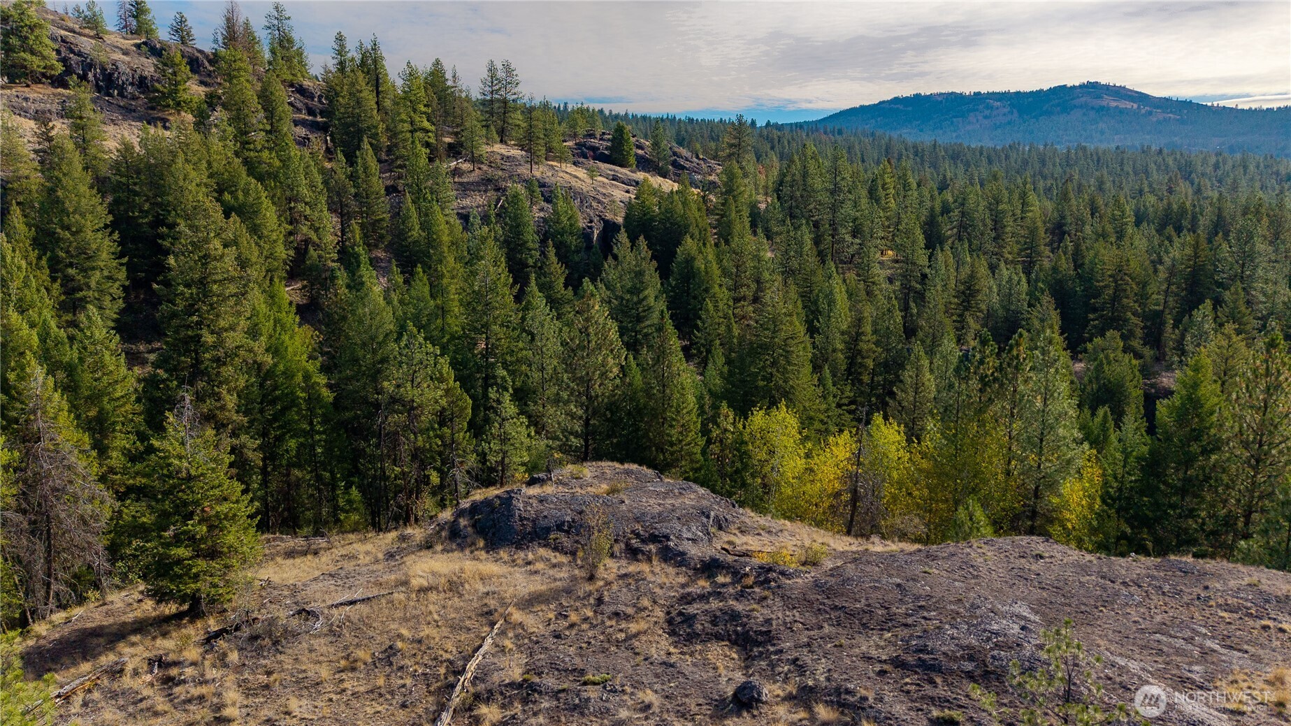 0 Eaglestone Road , Tonasket, WA 98855