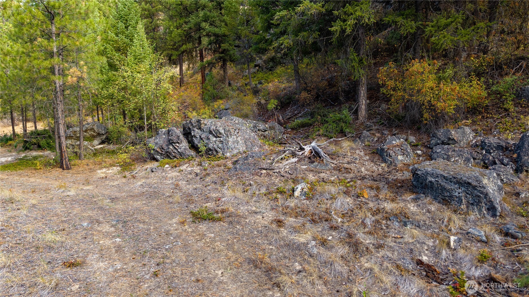 0 Eaglestone Road , Tonasket, WA 98855