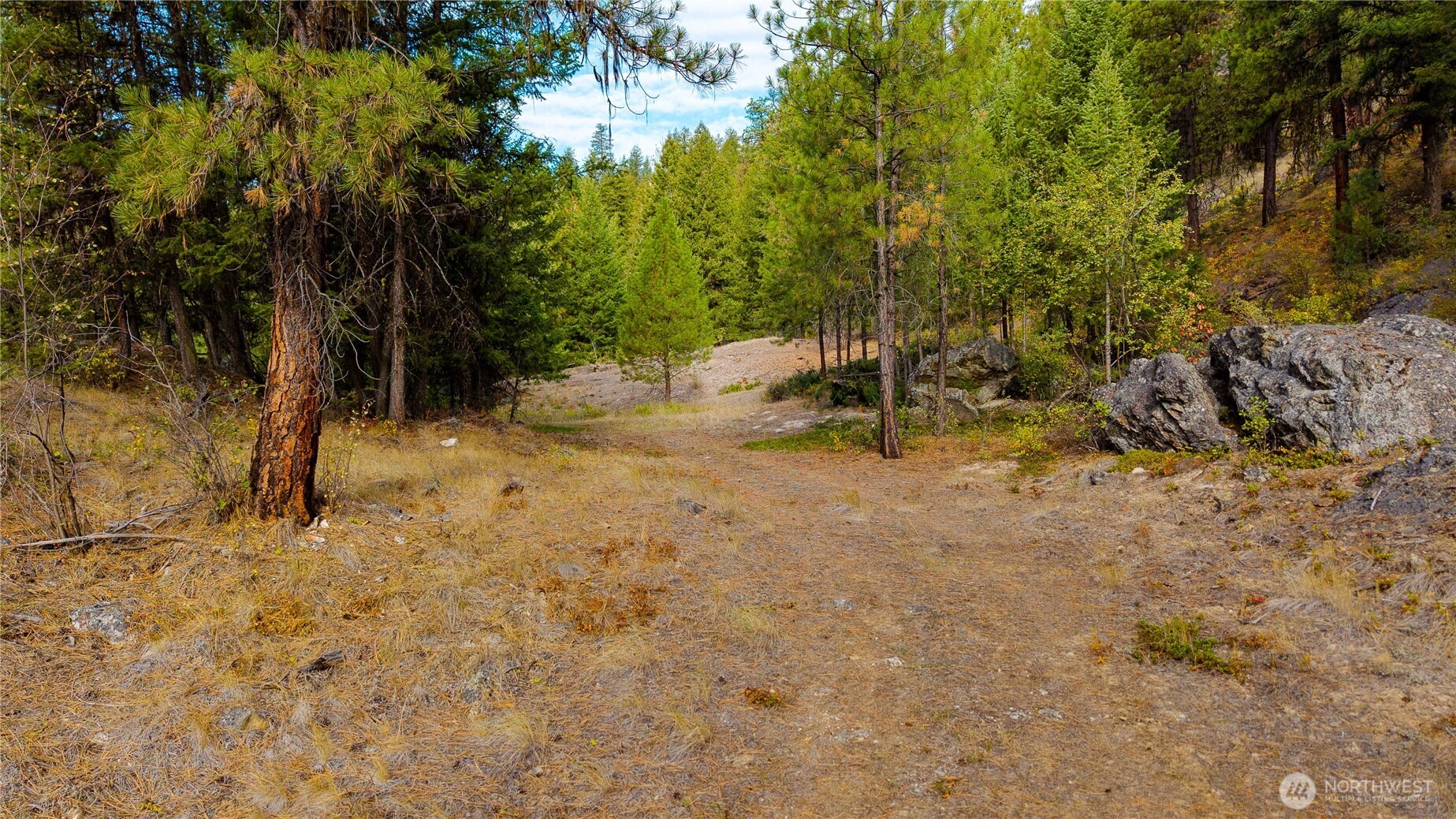 0 Eaglestone Road , Tonasket, WA 98855