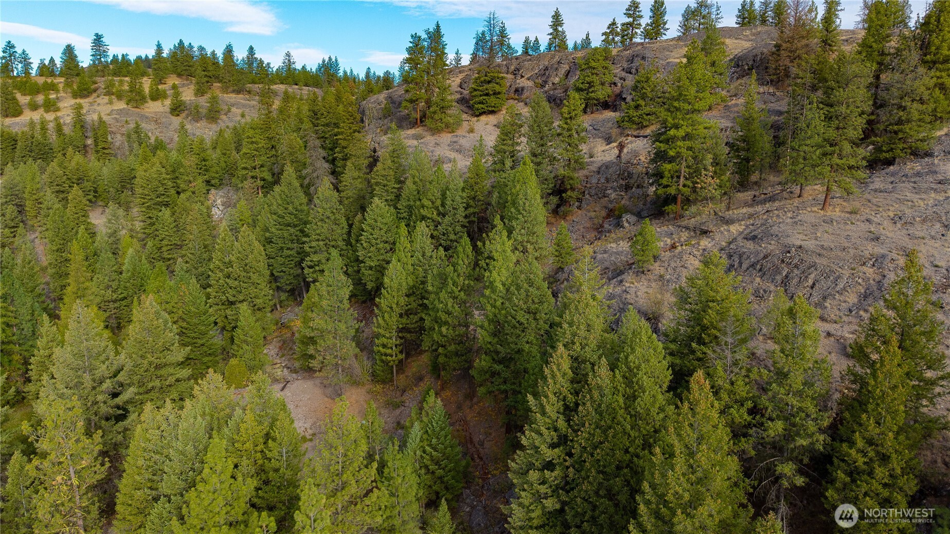 0 Eaglestone Road , Tonasket, WA 98855