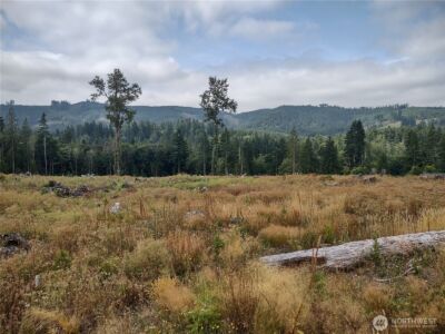 0 Summit Lake Road , Olympia, WA 98502
