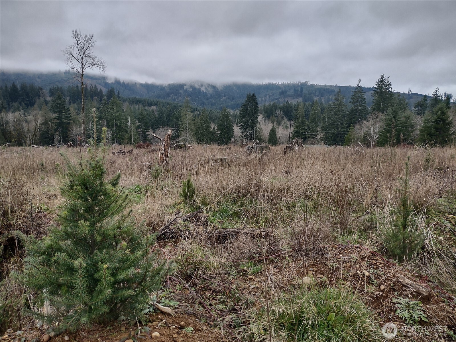 0 Summit Lake Road , Olympia, WA 98502