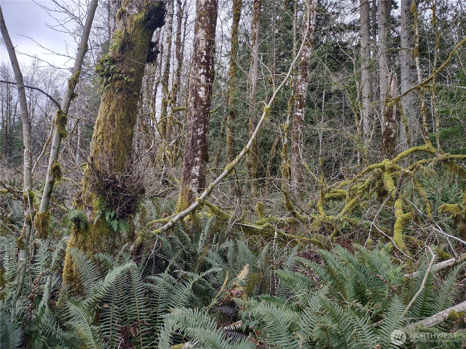 0 Summit Lake Road , Olympia, WA 98502